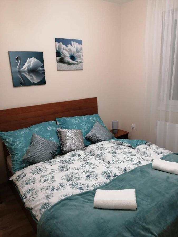 Olga Apartman セゲド エクステリア 写真